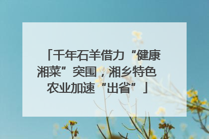 千年石羊借力“健康湘菜”突围，湘乡特色农业加速“出省”